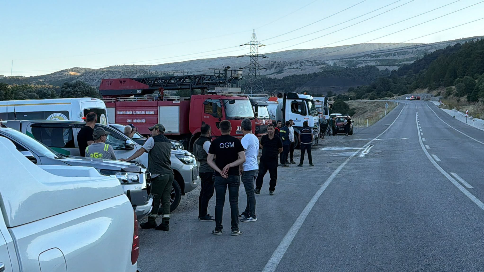 Kütahya'da orman yangını