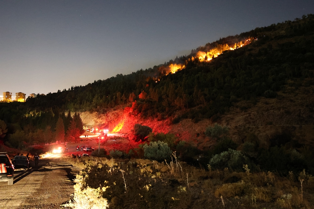 İzmir'de orman yangını