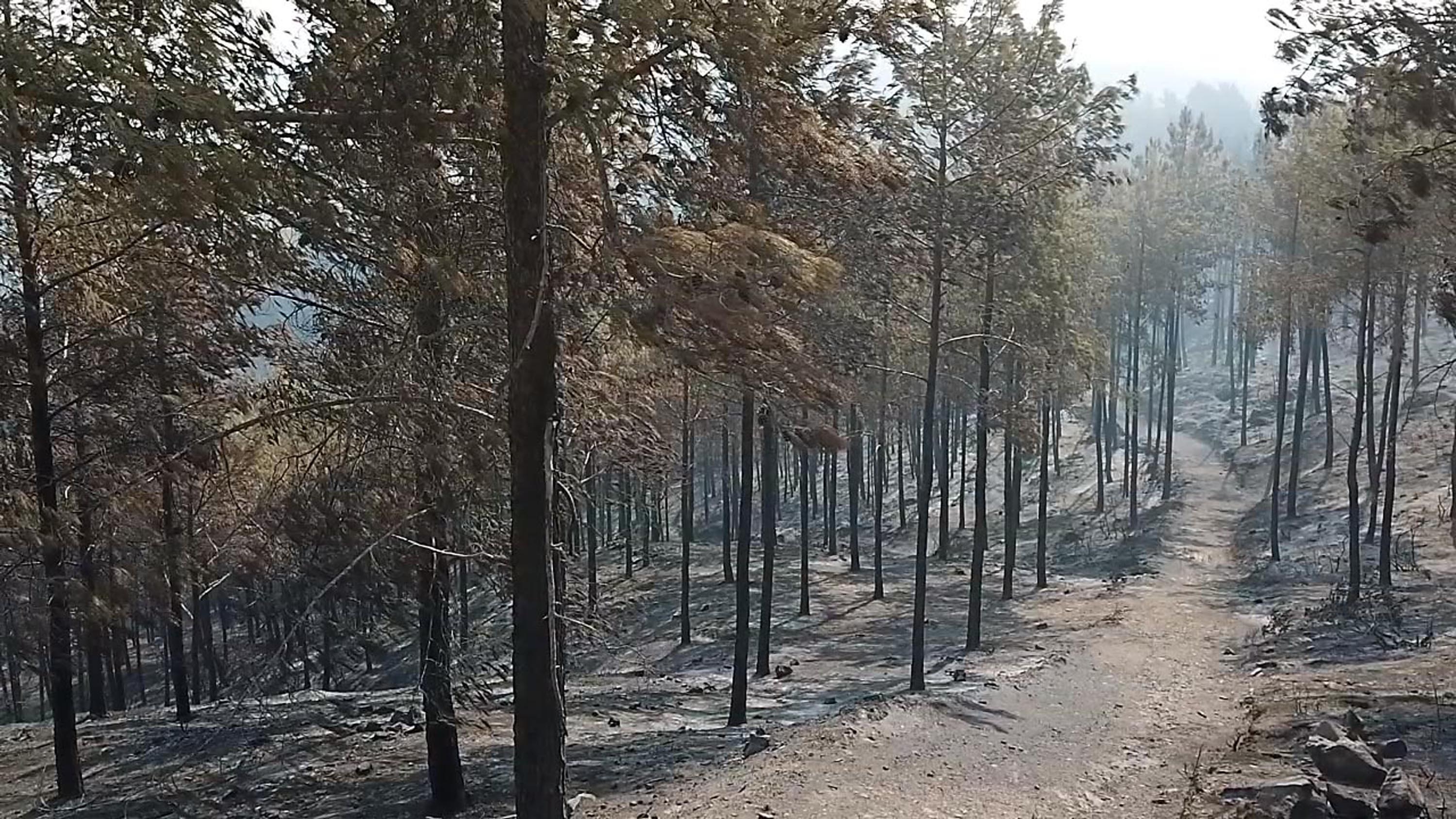 Seydikemer'de yangının izleri dronla görüntülendi