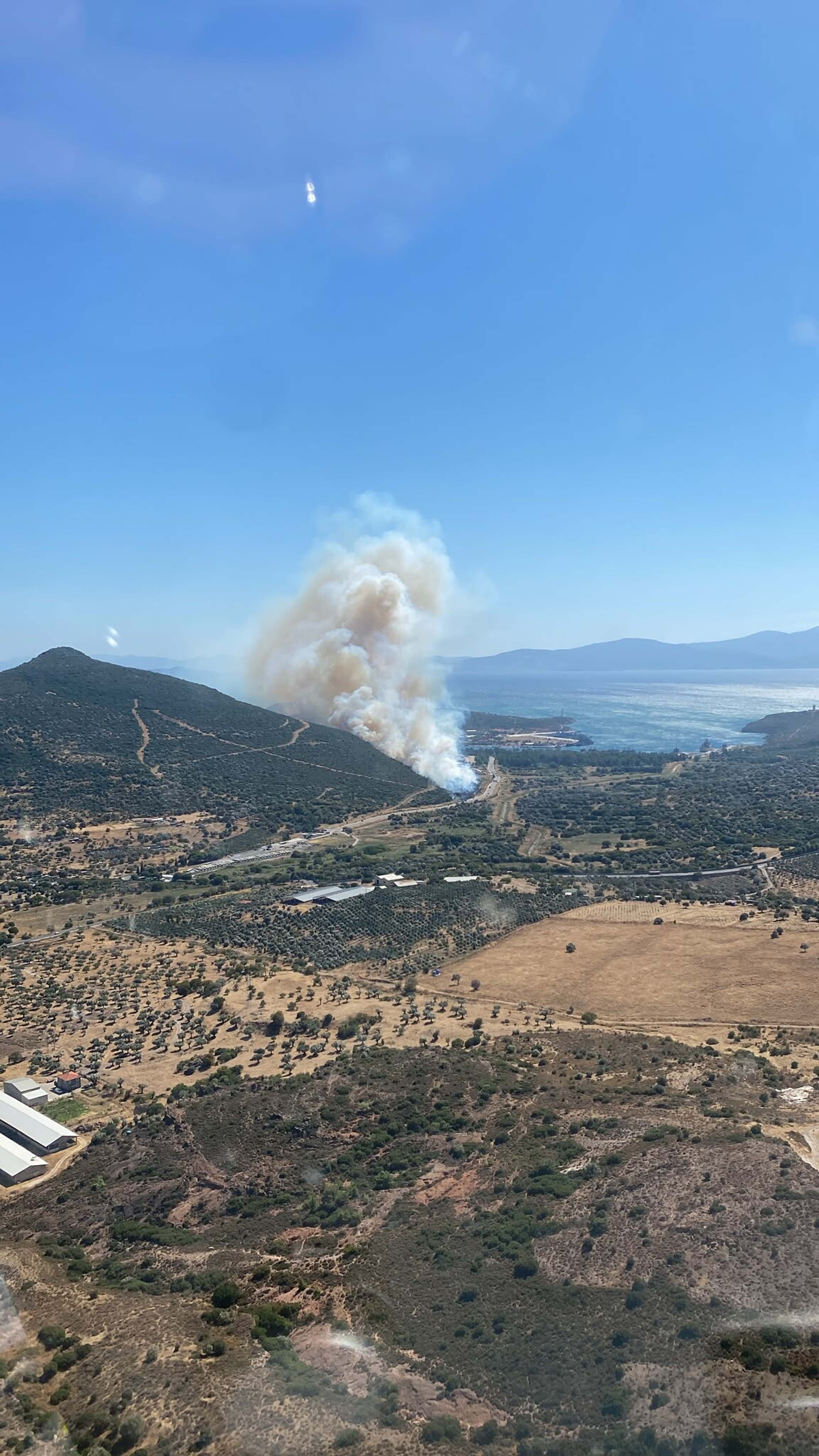 İzmir Foça'da orman yangını