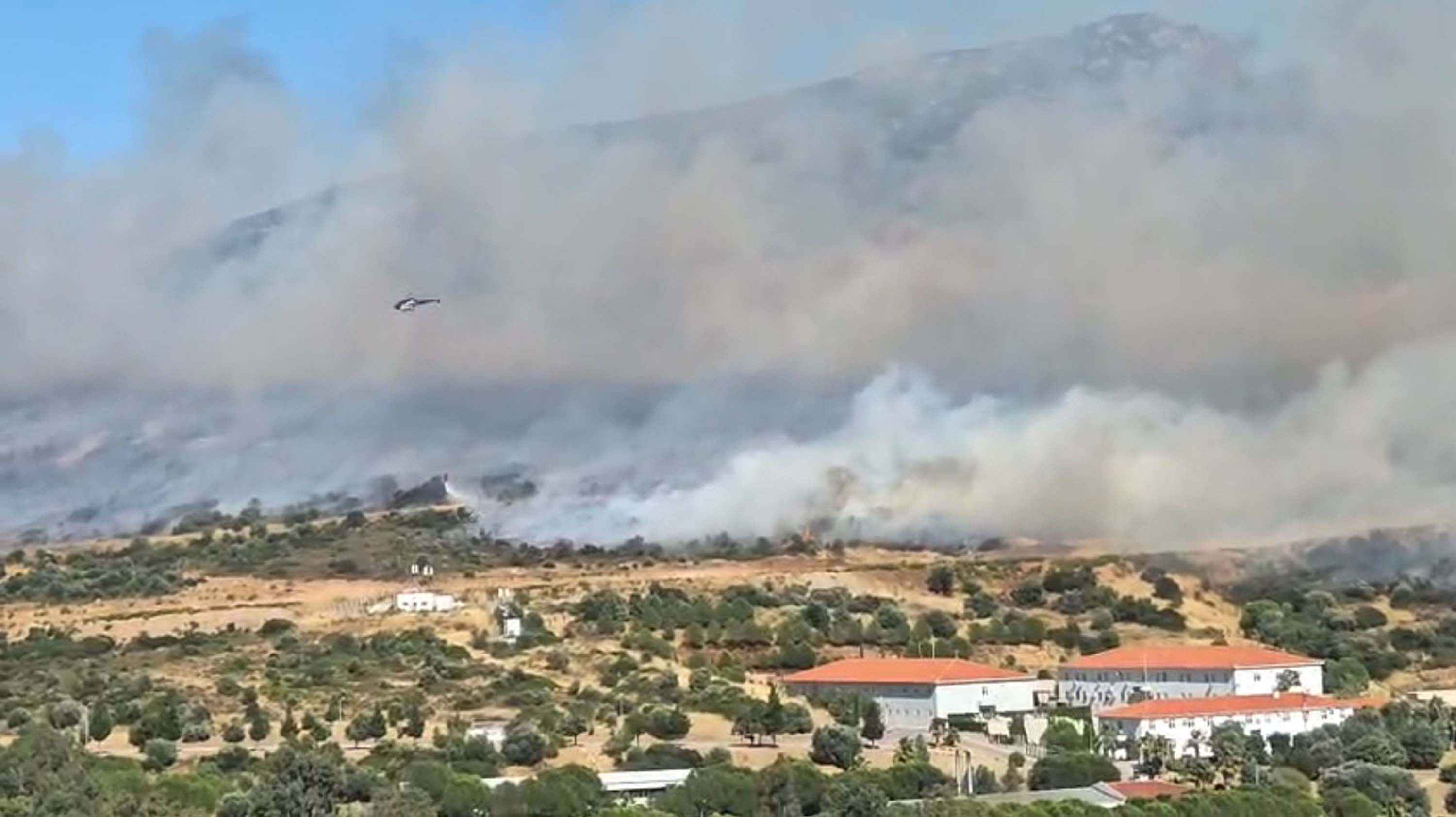 İzmir Foça'da orman yangını