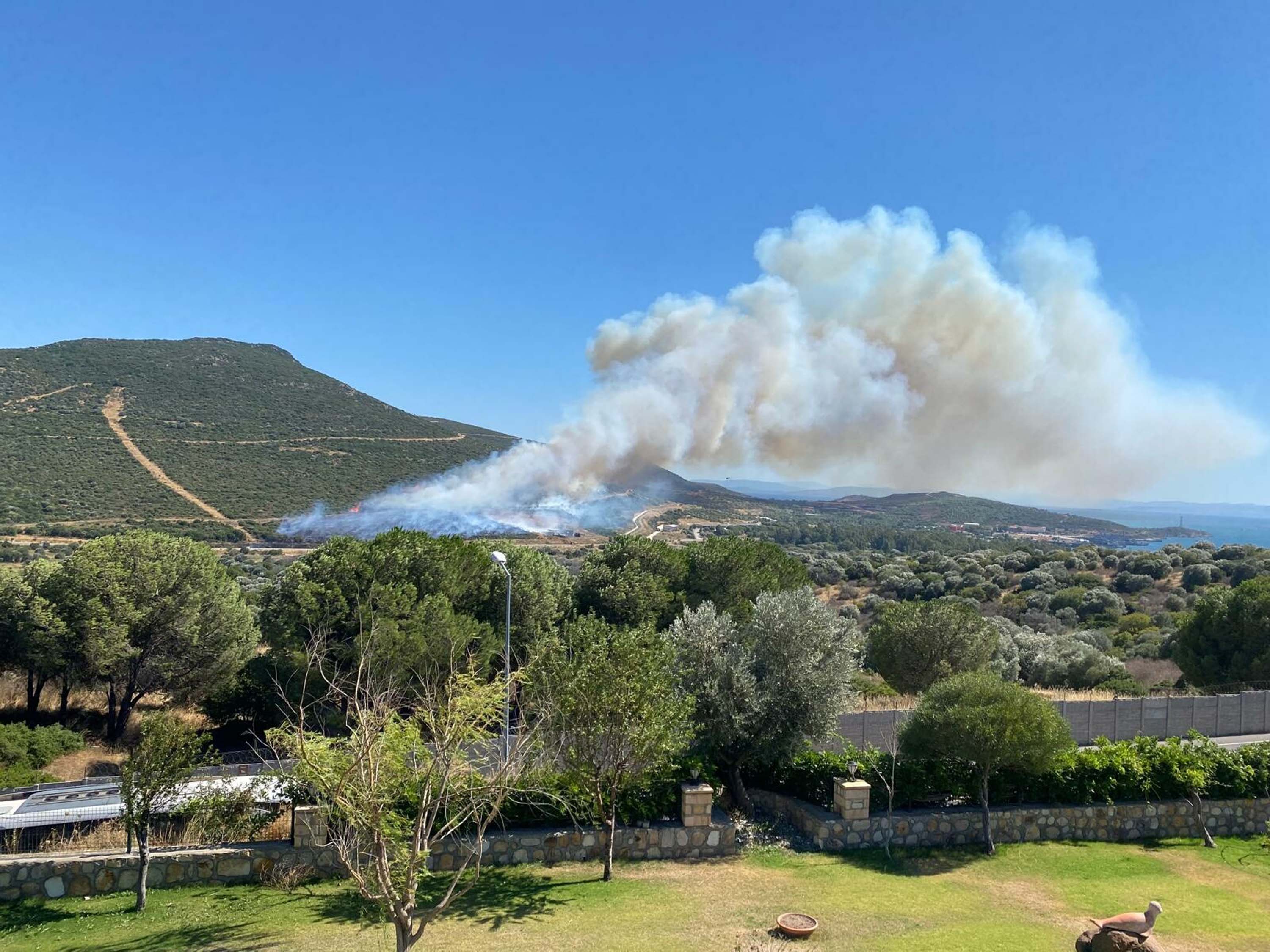 İzmir Foça'da orman yangını