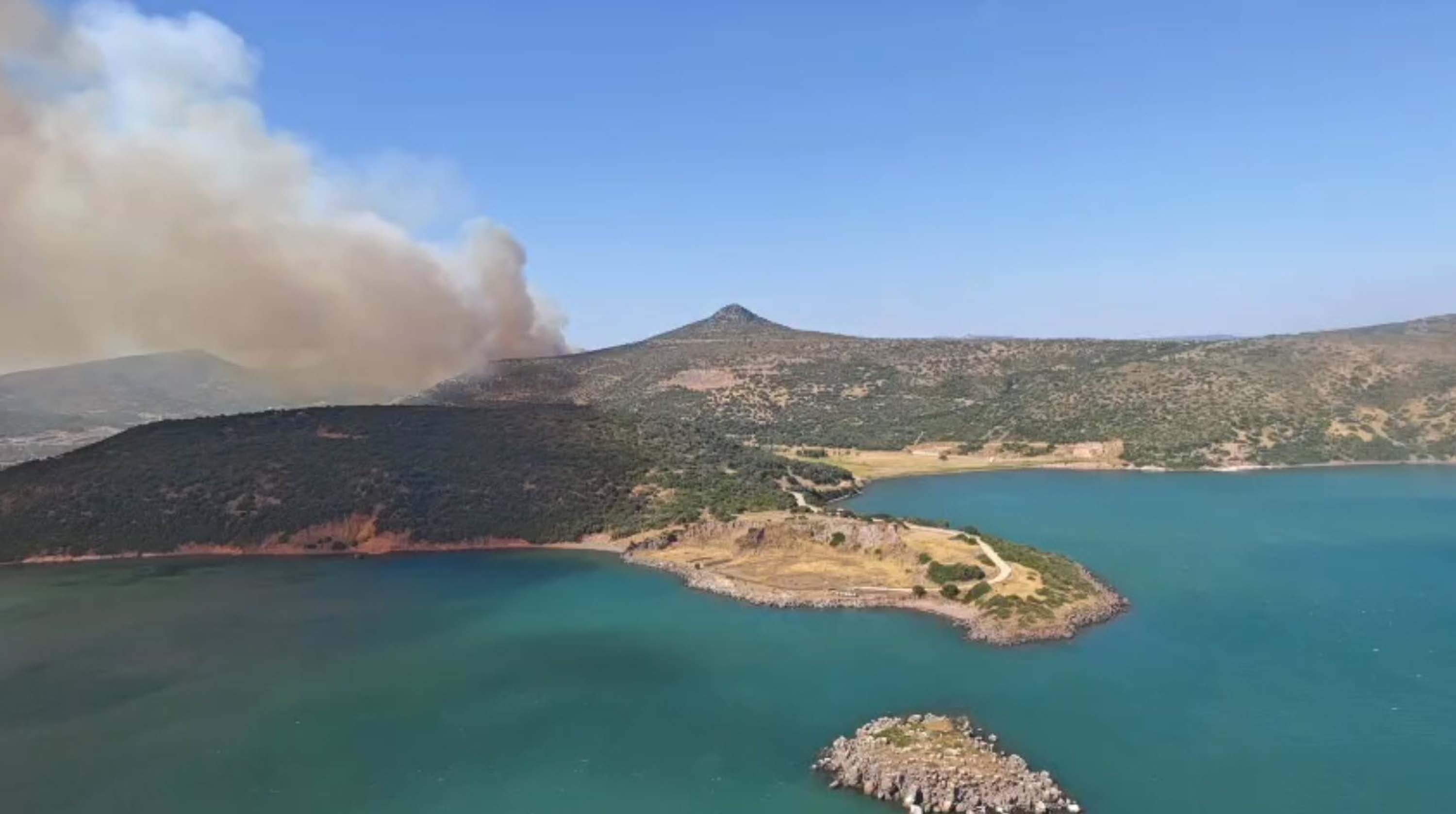 İzmir Foça'da orman yangını