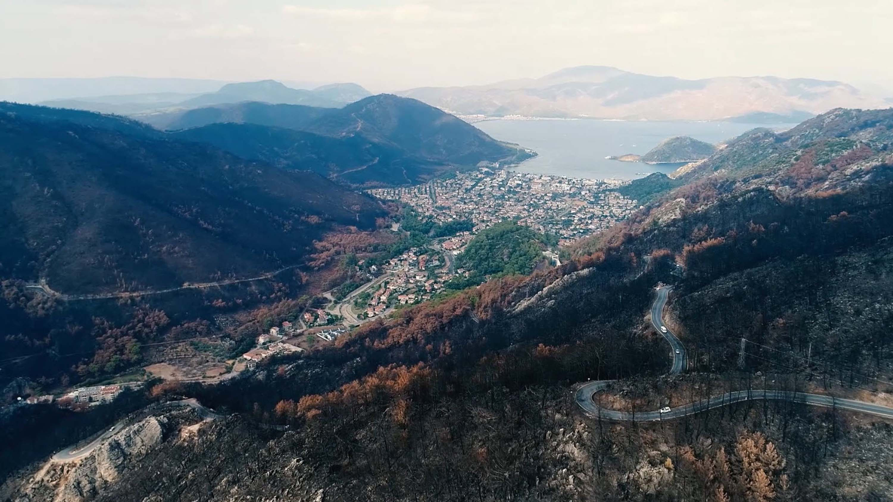 Muğla'da büyük yangınların 5'inci yılında yanan alanlar yeşil örtüye kavuştu