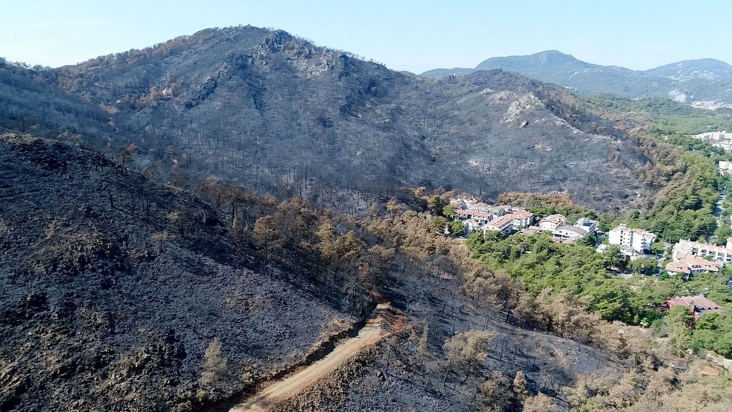 Muğla'da büyük yangınların 5'inci yılında yanan alanlar yeşil örtüye kavuştu