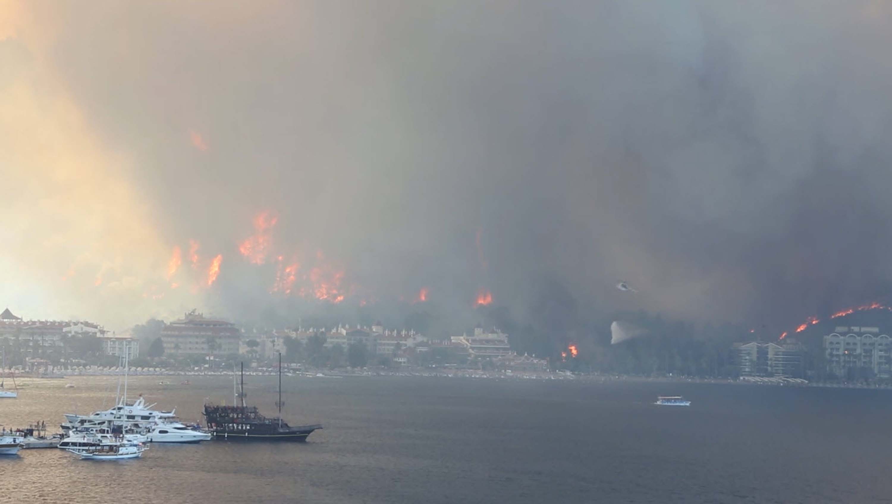 Muğla'da büyük yangınların 5'inci yılında yanan alanlar yeşil örtüye kavuştu