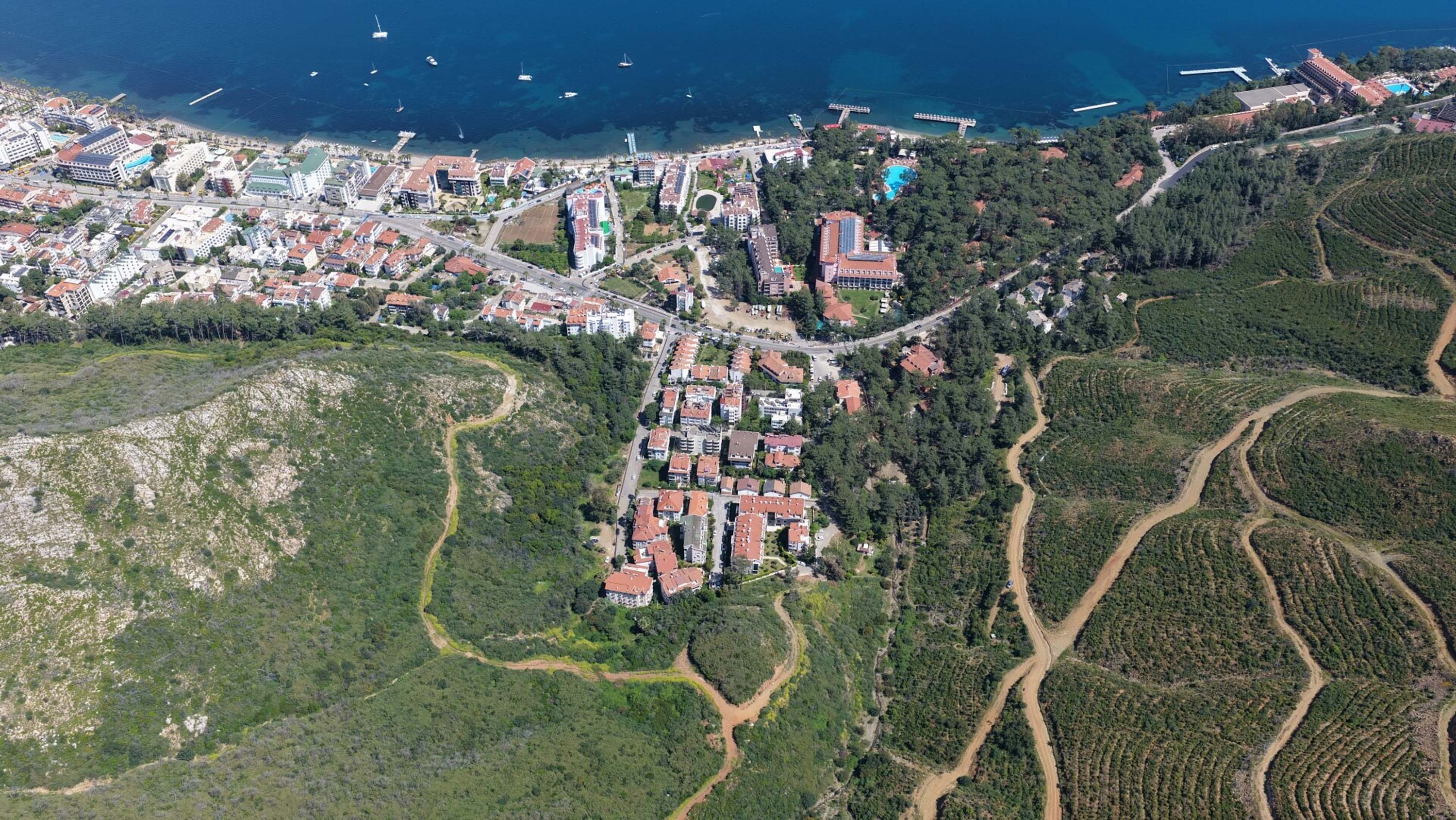 Muğla'da büyük yangınların 5'inci yılında yanan alanlar yeşil örtüye kavuştu