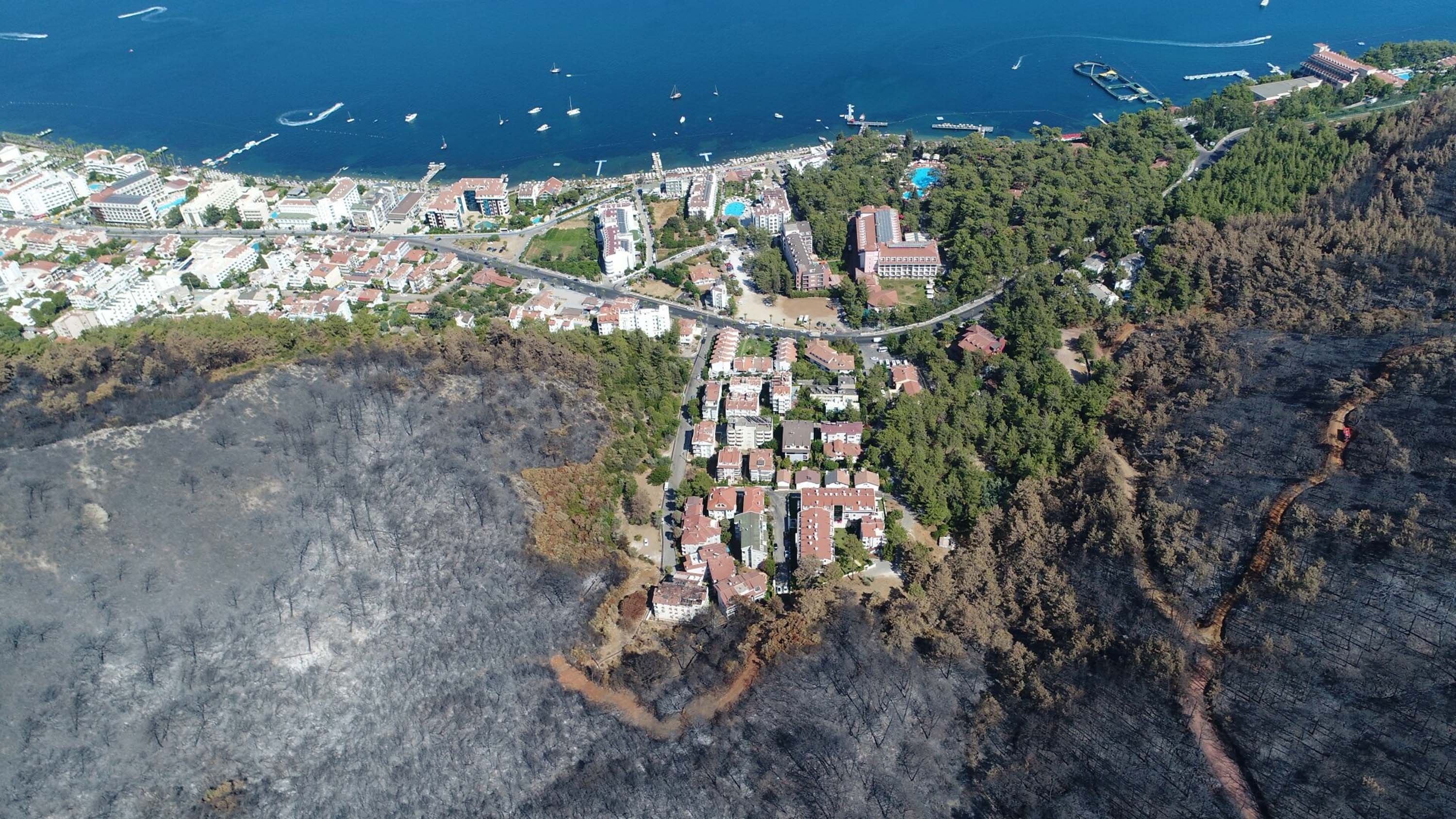 Muğla'da büyük yangınların 5'inci yılında yanan alanlar yeşil örtüye kavuştu