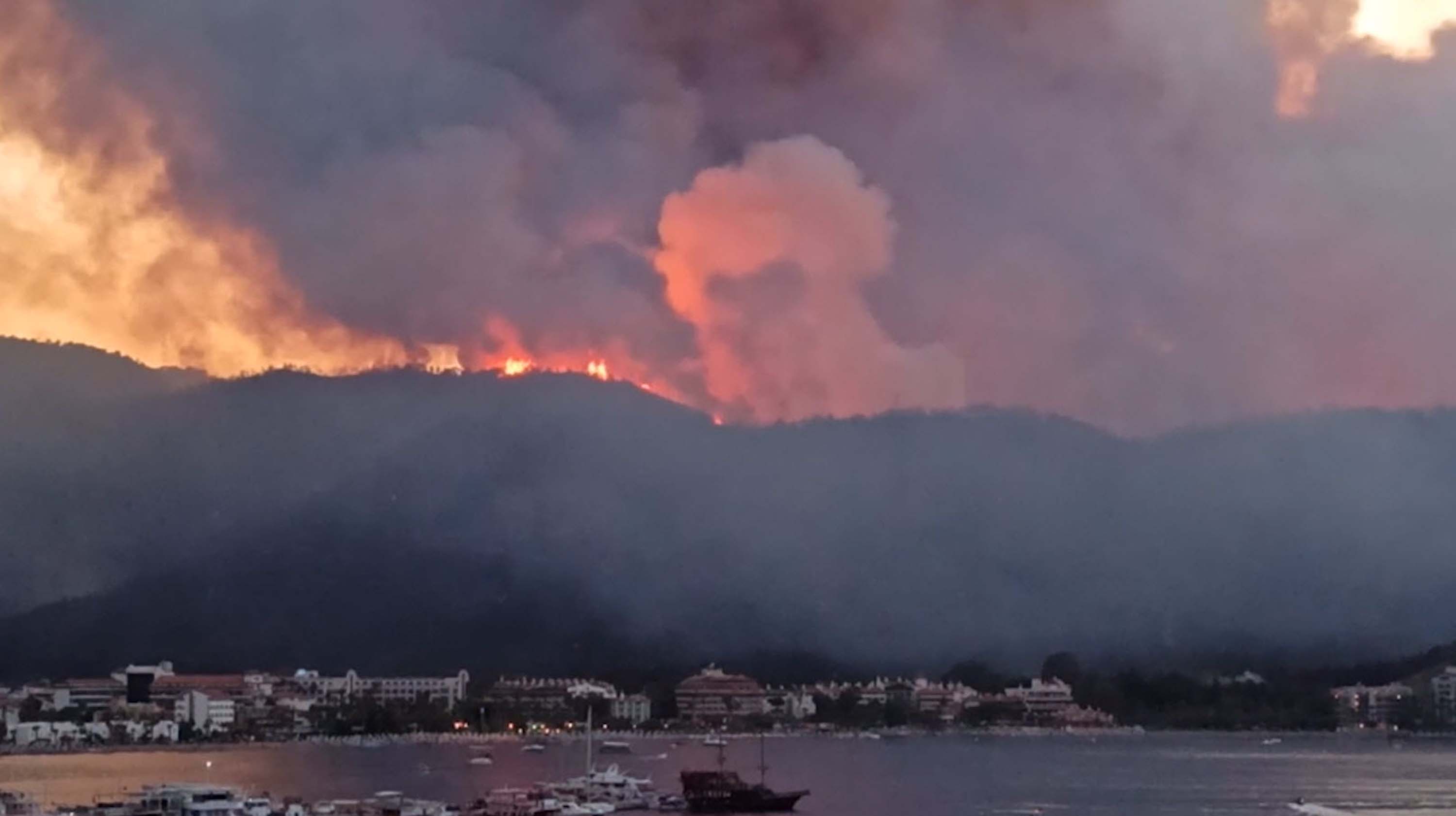 Muğla'da büyük yangınların 5'inci yılında yanan alanlar yeşil örtüye kavuştu