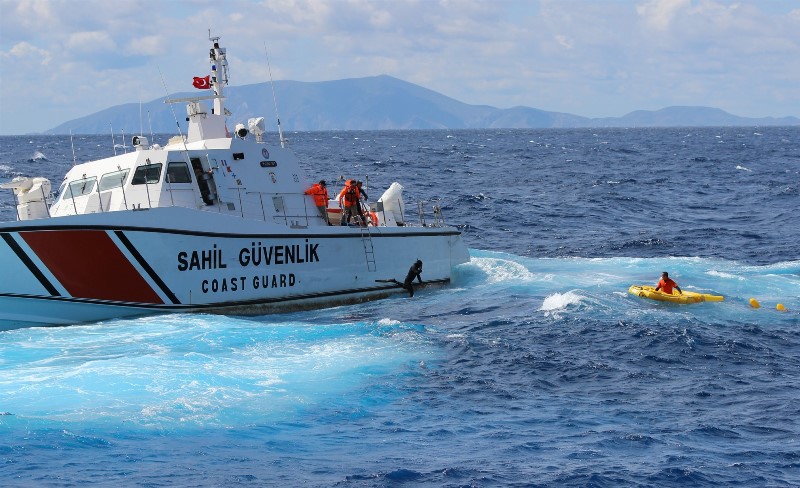 Deniz Aslanı 2016'nın ilk safhası