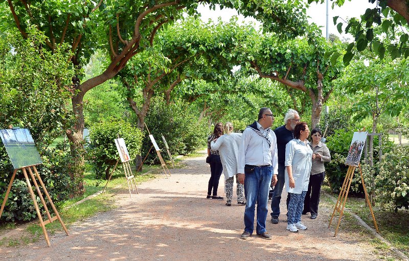 Engelli gözüyle doğa ve insan