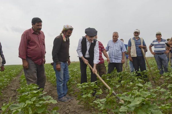 Kılıçdaroğlu kasket taktı, çapa yaptı