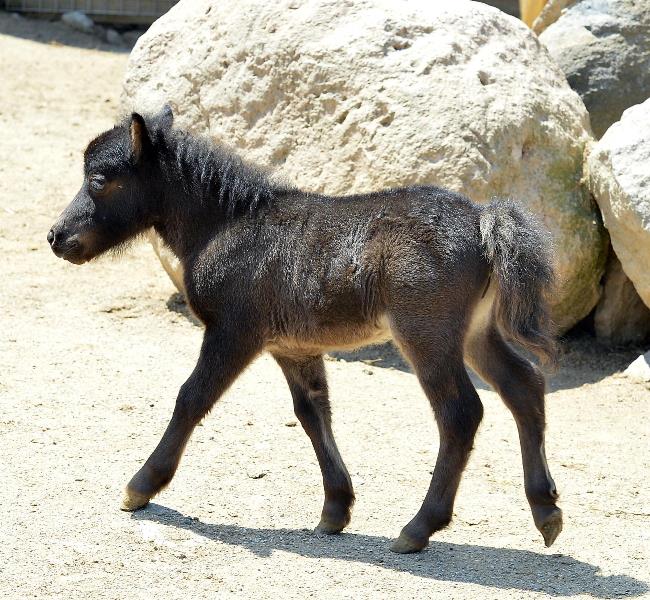 Doğal Yaşam'da bahar bereketi