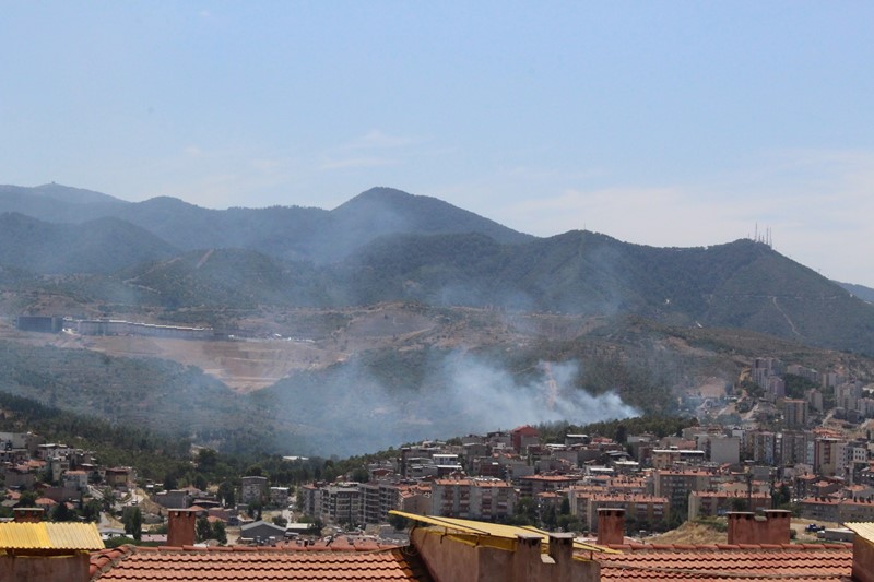 İzmir'de ormanlık alanda korkutan yangın!