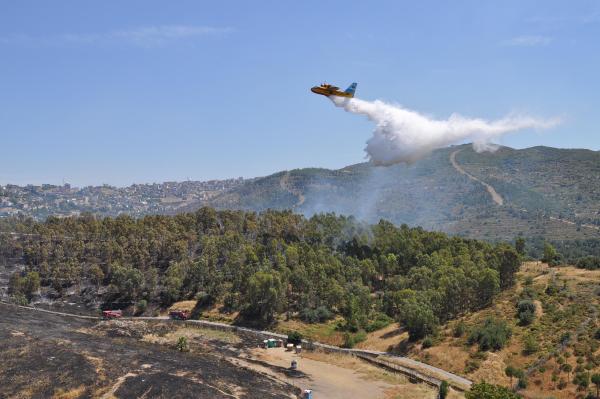 İzmir'de ormanlık alanda korkutan yangın!