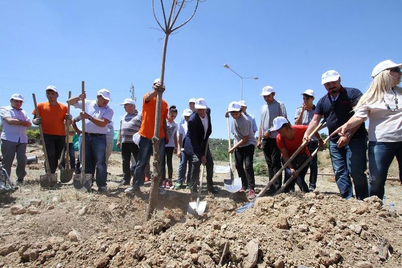 'Yeşilin yok edilmesi canımı yakıyor!'