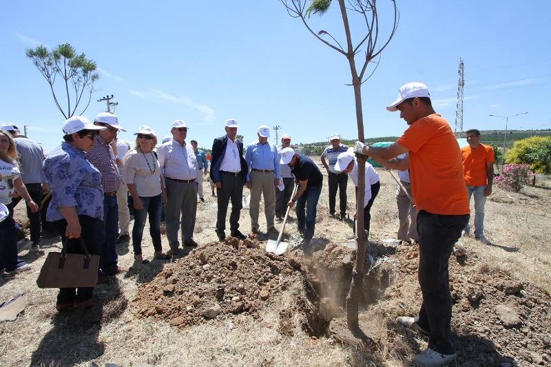 'Yeşilin yok edilmesi canımı yakıyor!'