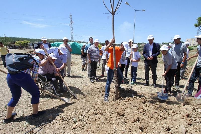 'Yeşilin yok edilmesi canımı yakıyor!'