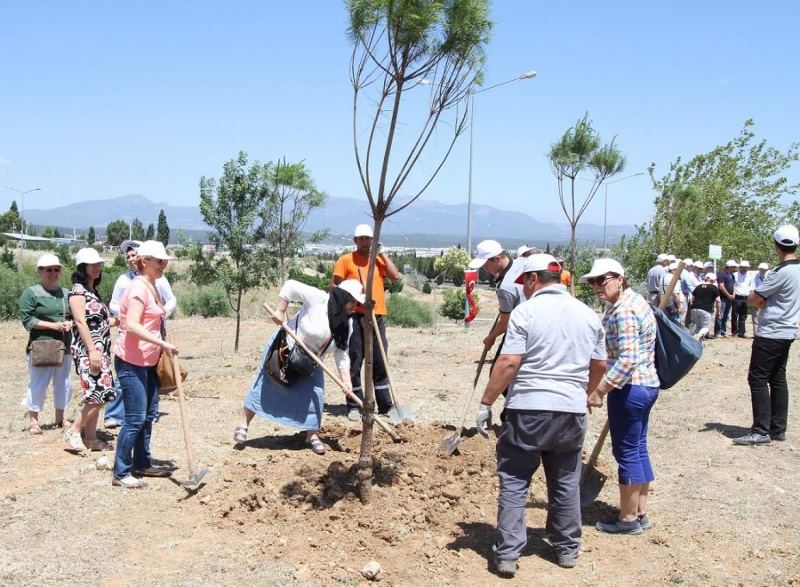 'Yeşilin yok edilmesi canımı yakıyor!'