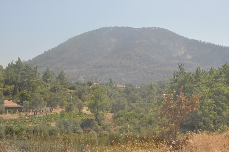 İzmir'de yangın kabusu