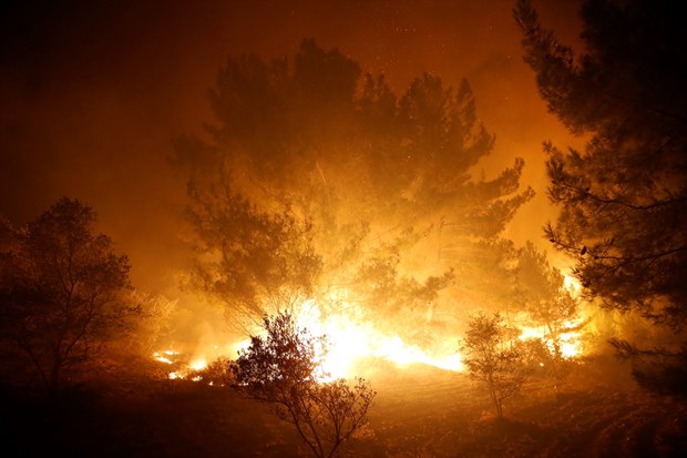 İzmir'de yangın kabusu