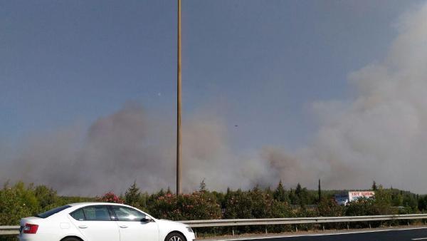 İzmir'de yangın kabusu