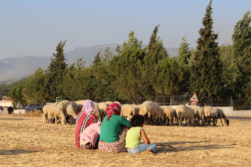 İzmir'de yangın kabusu