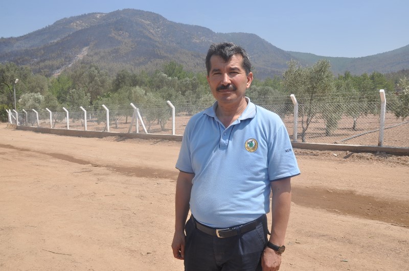 İzmir'de yangın kabusu