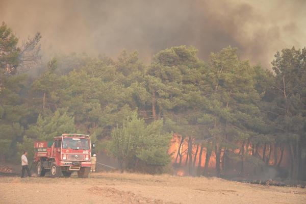 İzmir'de yangın kabusu