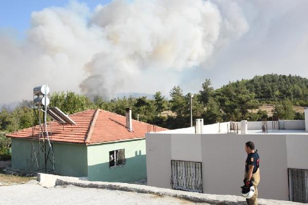 İzmir'de yangın kabusu