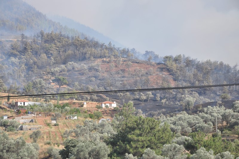 İzmir'de yangın kabusu