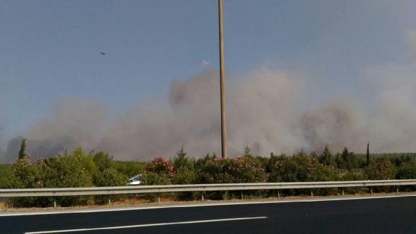 İzmir'de yangın kabusu