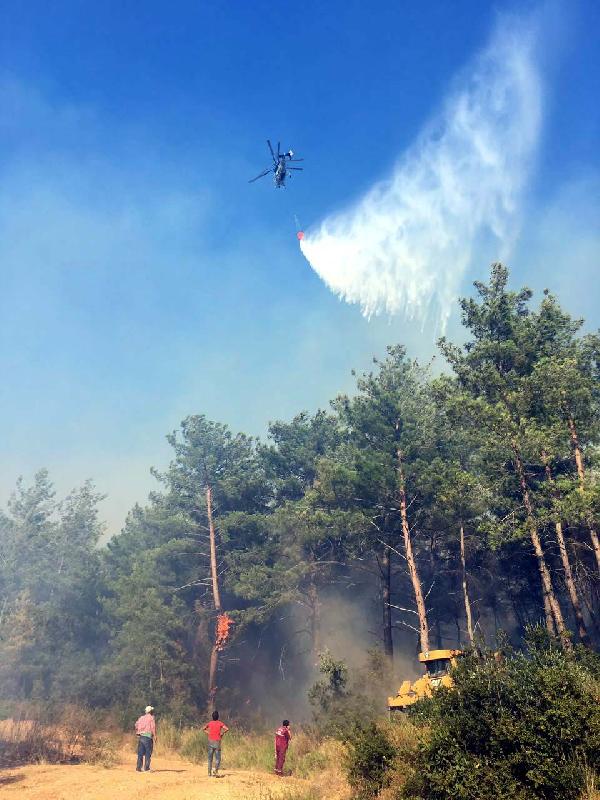 İzmir'de yangın kabusu