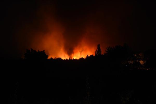 İzmir'de yangın kabusu