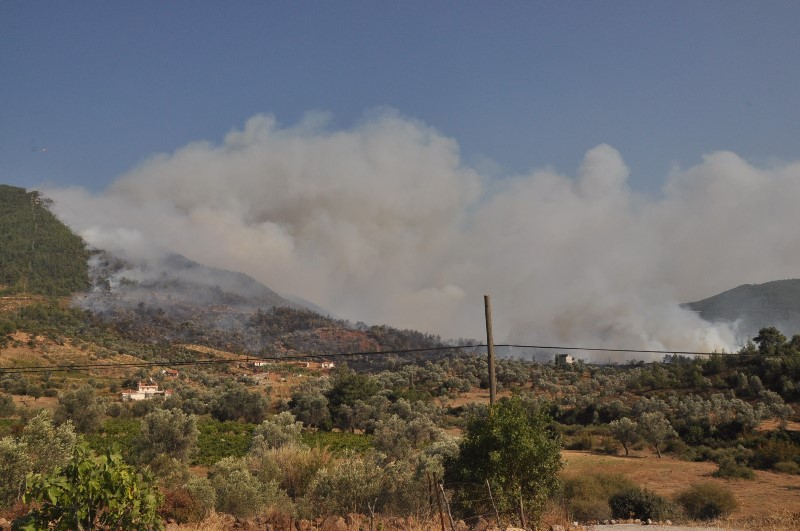 İzmir'de yangın kabusu