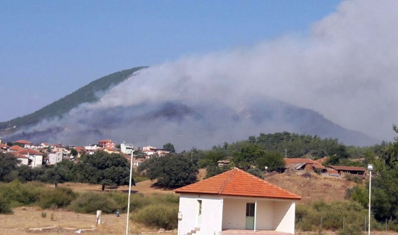 İzmir'de yangın kabusu