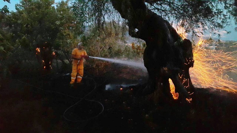 İzmir'de yangın kabusu