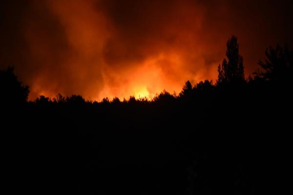 İzmir'de yangın kabusu