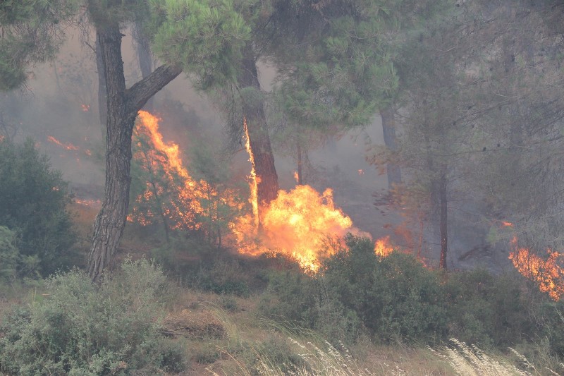 İzmir'de yangın kabusu