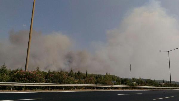 İzmir'de yangın kabusu