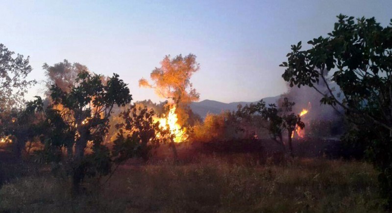 İzmir'de yangın kabusu
