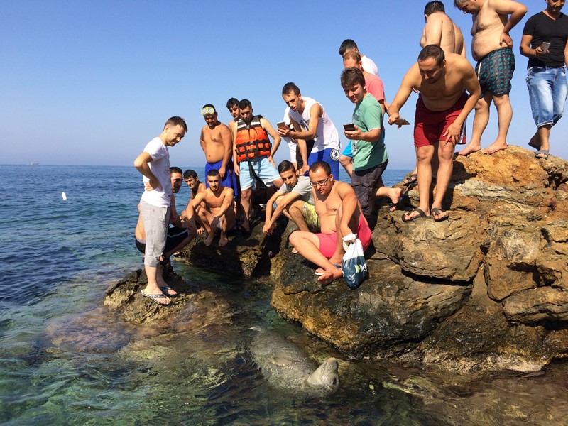 İzmir'de tatilcileri şaşırtan görüntü!
