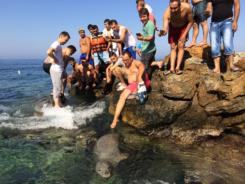 İzmir'de tatilcileri şaşırtan görüntü!