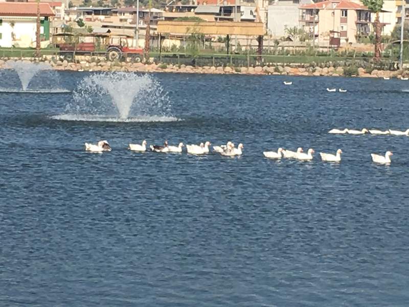 Başkan Şahin gurur projesini tanıttı