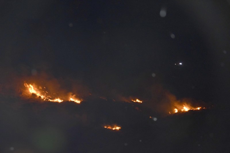 İzmir'de büyük orman yangını