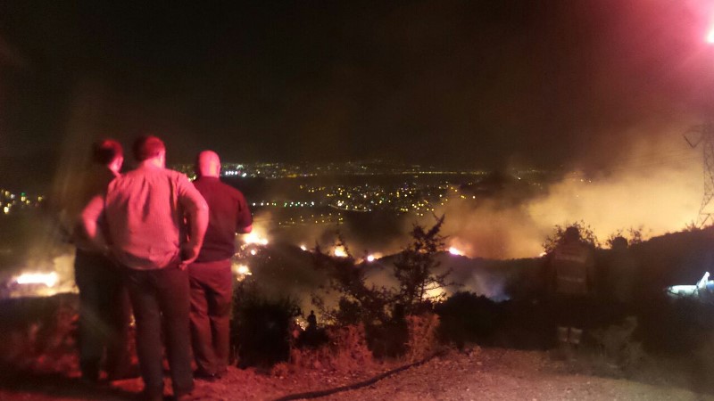 İzmir'de büyük orman yangını