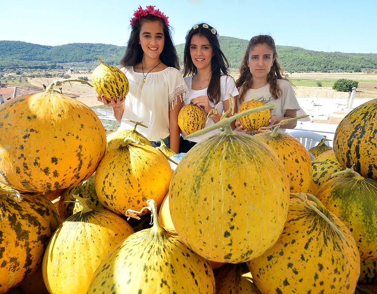 Urla'da Kavun Festivali coşkusu