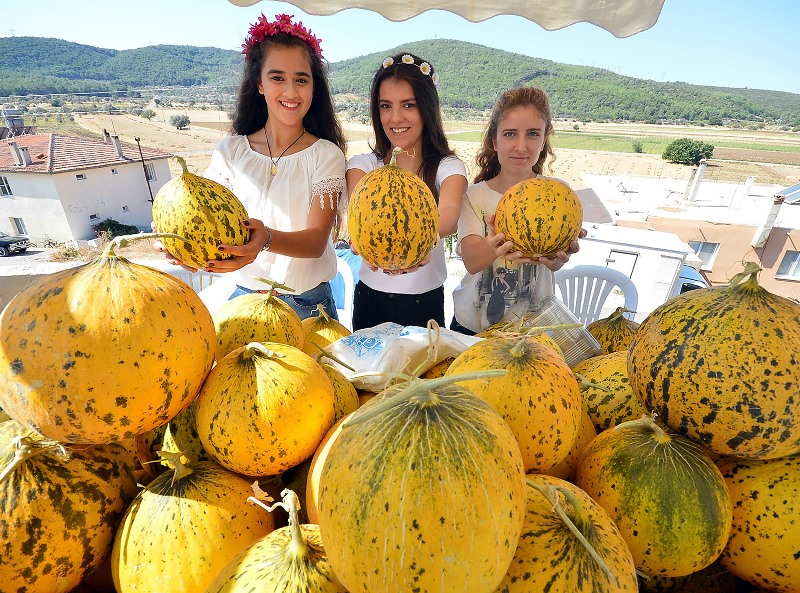 Urla'da Kavun Festivali coşkusu