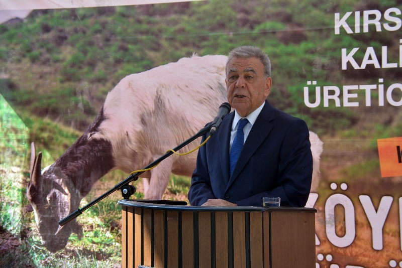 Bir “sürü” umutları oldu