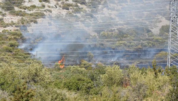 İzmir'de piknikçi ateşi ormanı yaktı